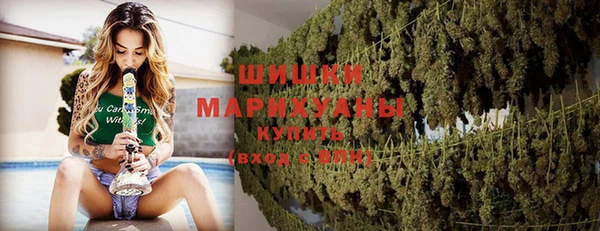 МДПВ Саяногорск